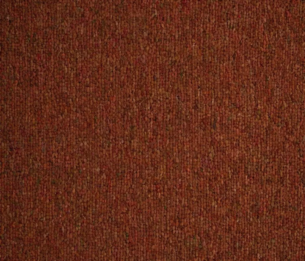 carpet for a rental property